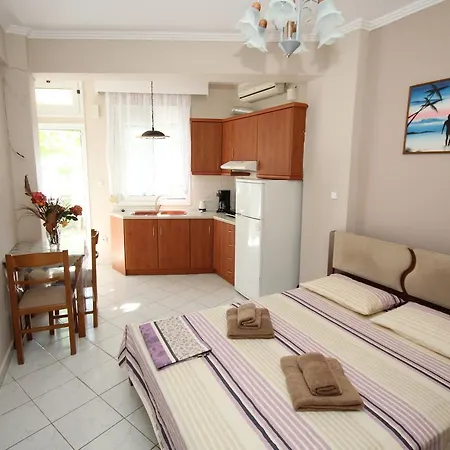 Koktsidis House Psakoudia Apartment